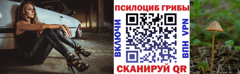 Псилоцибиновые грибы ЛСД  мега ONION  Суровикино  сколько стоит 